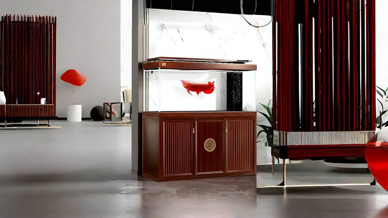 Arowana fish tank