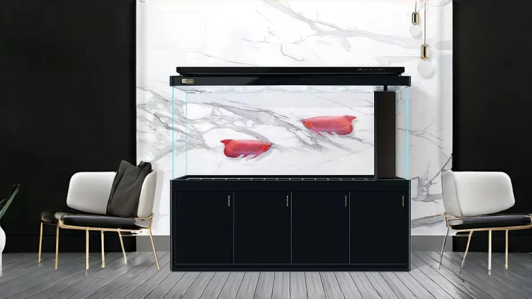 Glass Aquarium tank