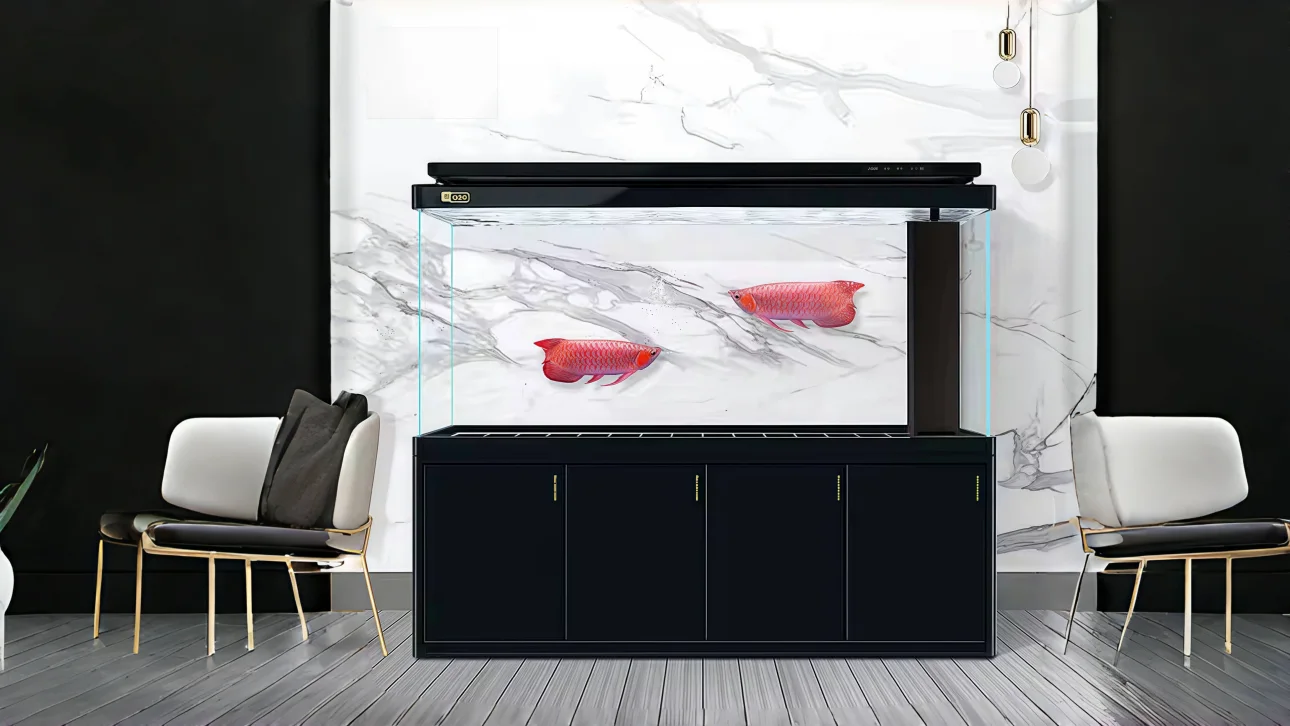 glass fish tank