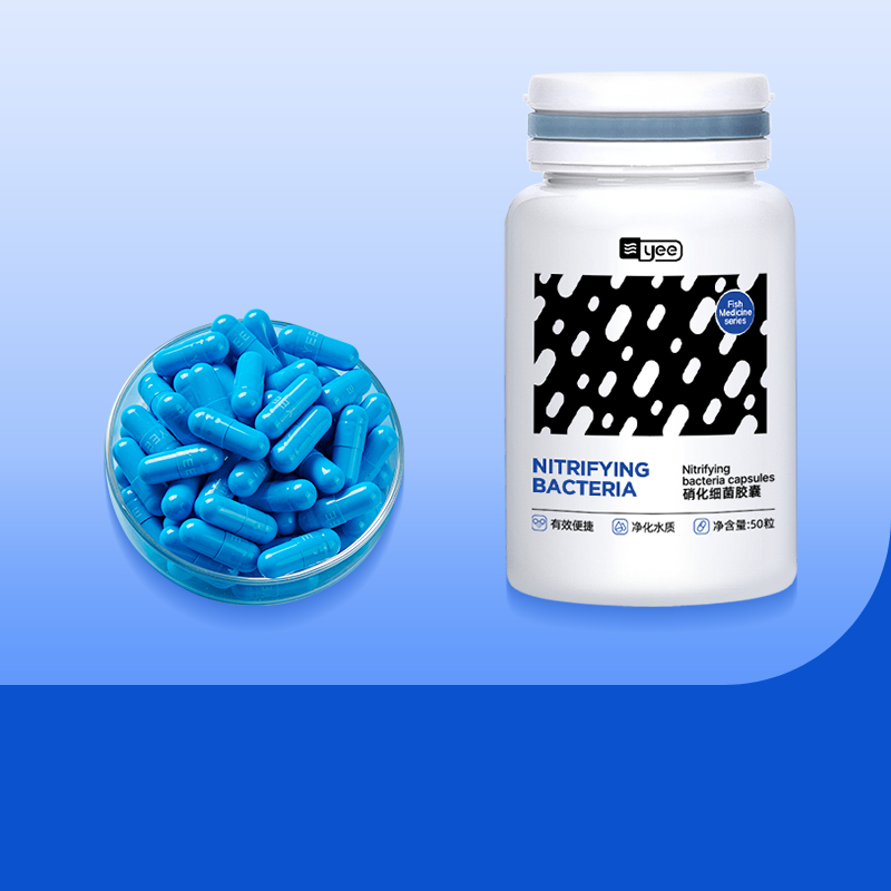 Yee Nitrifying Bacteria Dry Powder