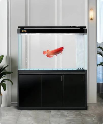 100 gallon fish tank