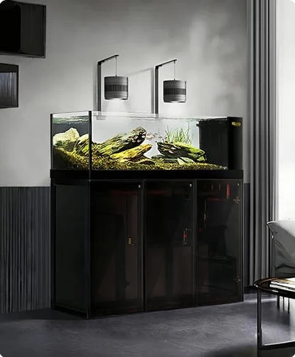 180 gallon fish tank