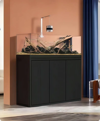 80 gallon fish tank