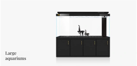 large-aquarium-6