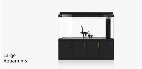 large aquariums 10