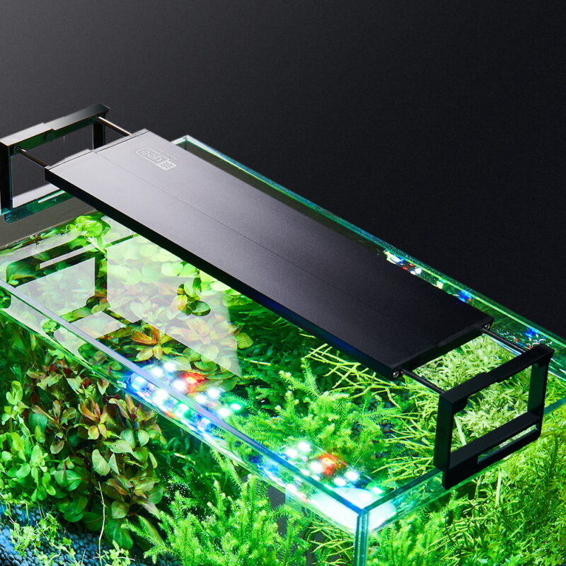 Full Spectrum LED Lights