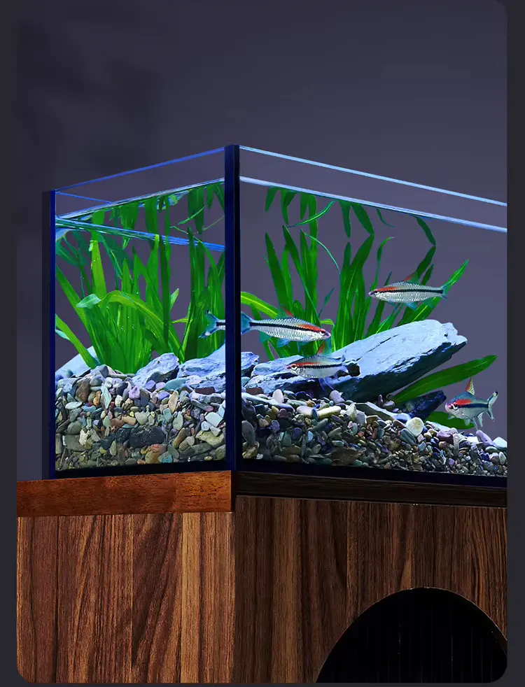 small fish tank with filter 3