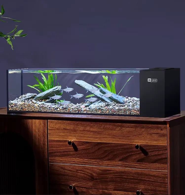 small fish tank with filter 2