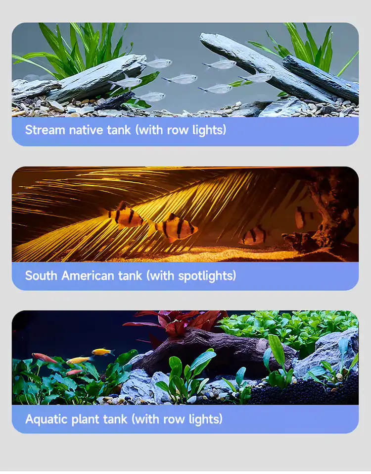 Two Lighting Options 2