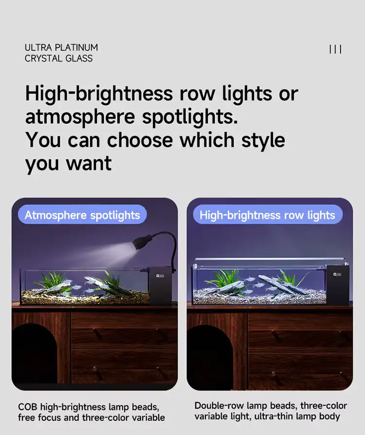 Two Lighting Options