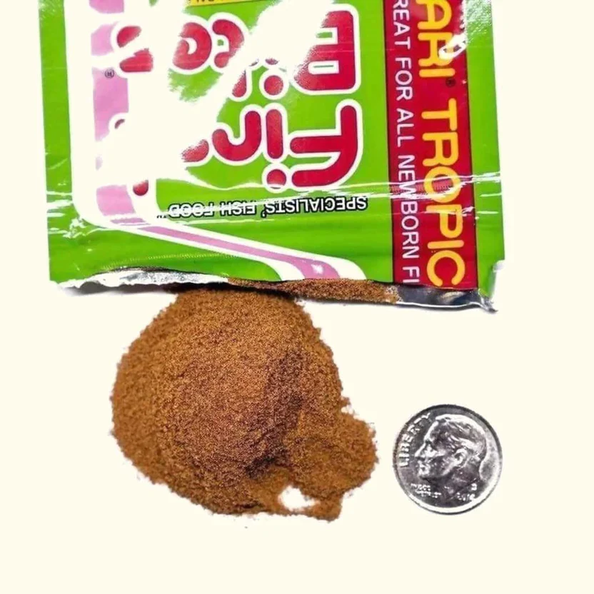 hikari-first-bites-497552
