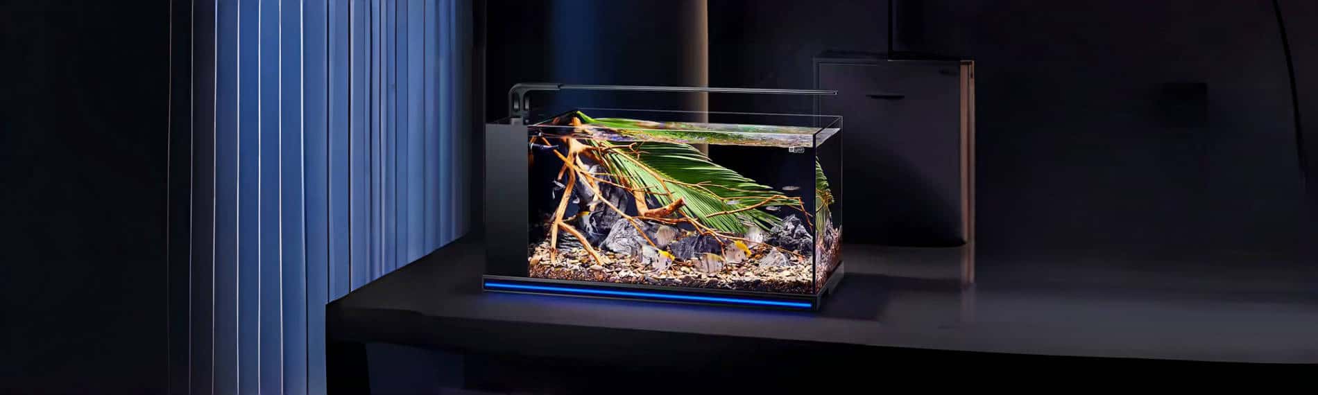 The Growth and Development of Goldfish