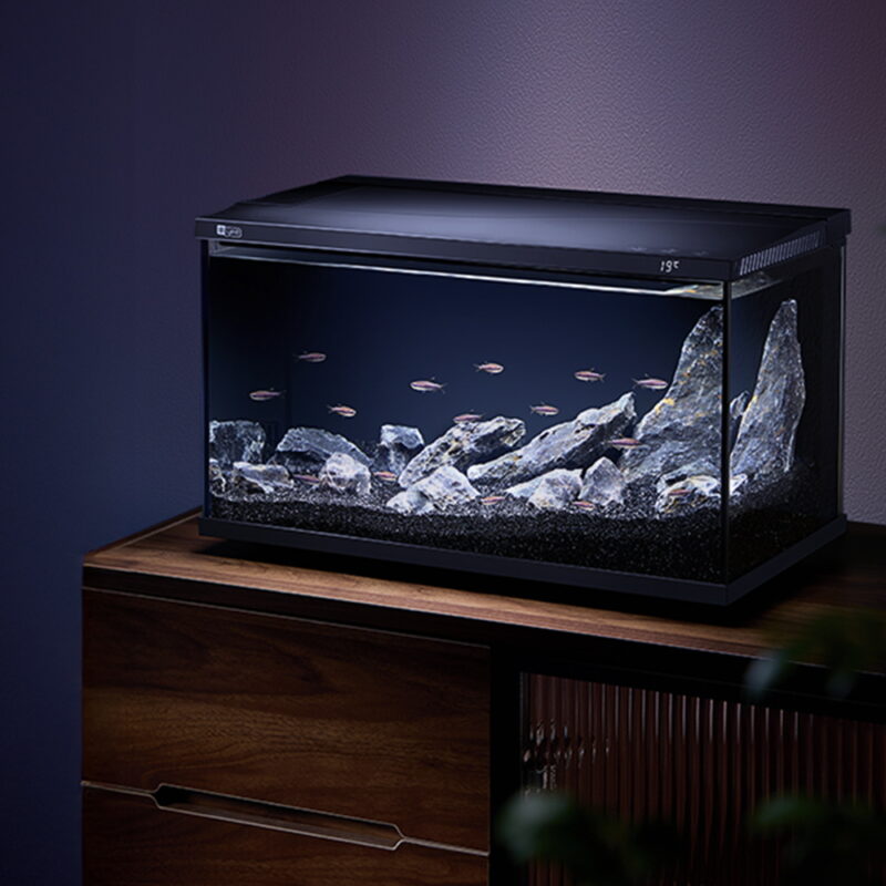 Desktop Smart Fish Tank With Automatic Feeder