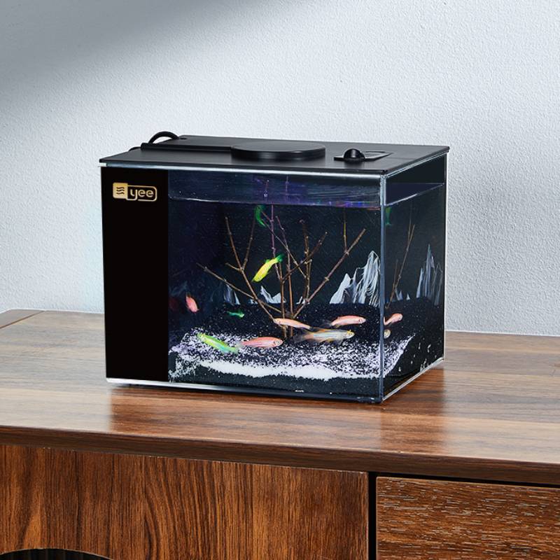 Mini Plastic Desktop Mini Fish Tank