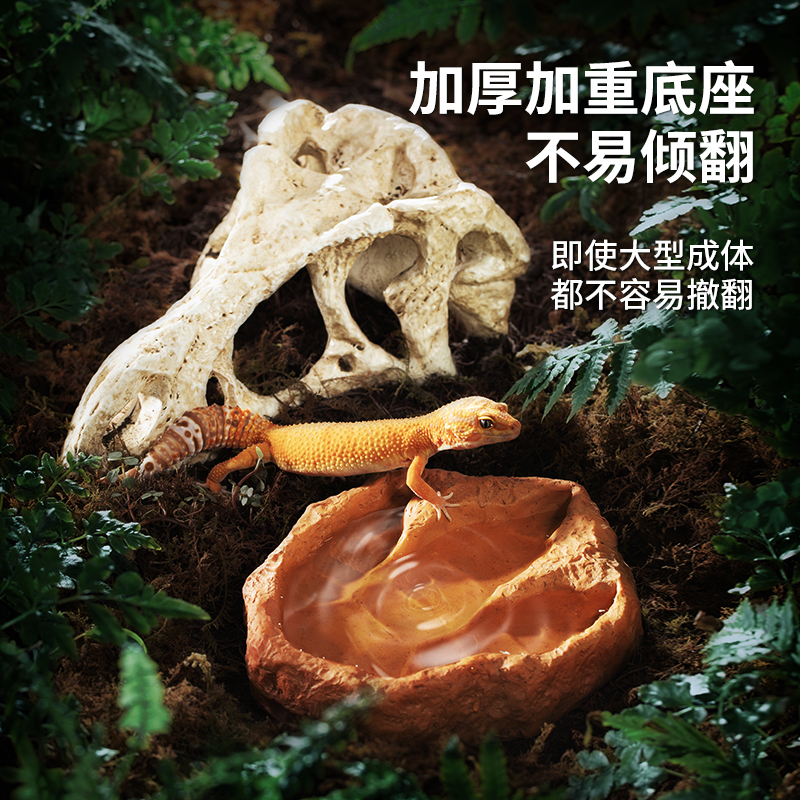 Jurassic Reptile Decor Set — T‑Rex Skull Landscape + Dinosaur Footprint Water Bowl for Terrariums - Image 5