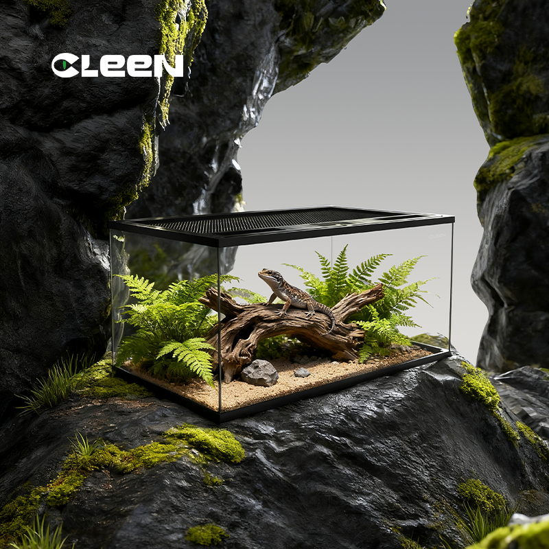 bearded dragon Glass Reptile Terrarium
