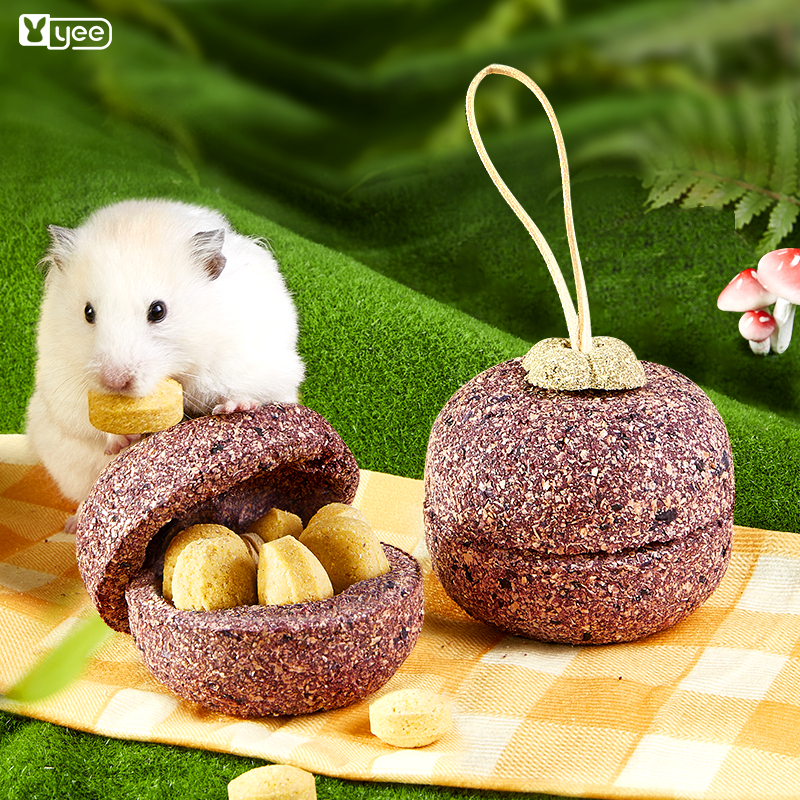 Hamster teeth-grinding treats