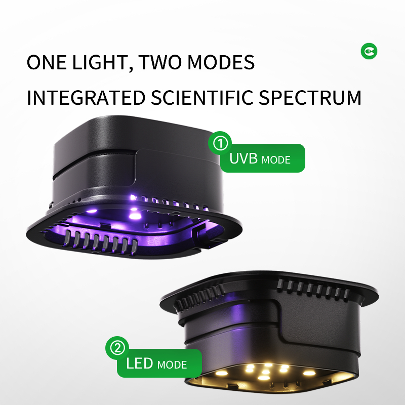 CLEEN UVB reptile light for terrarium