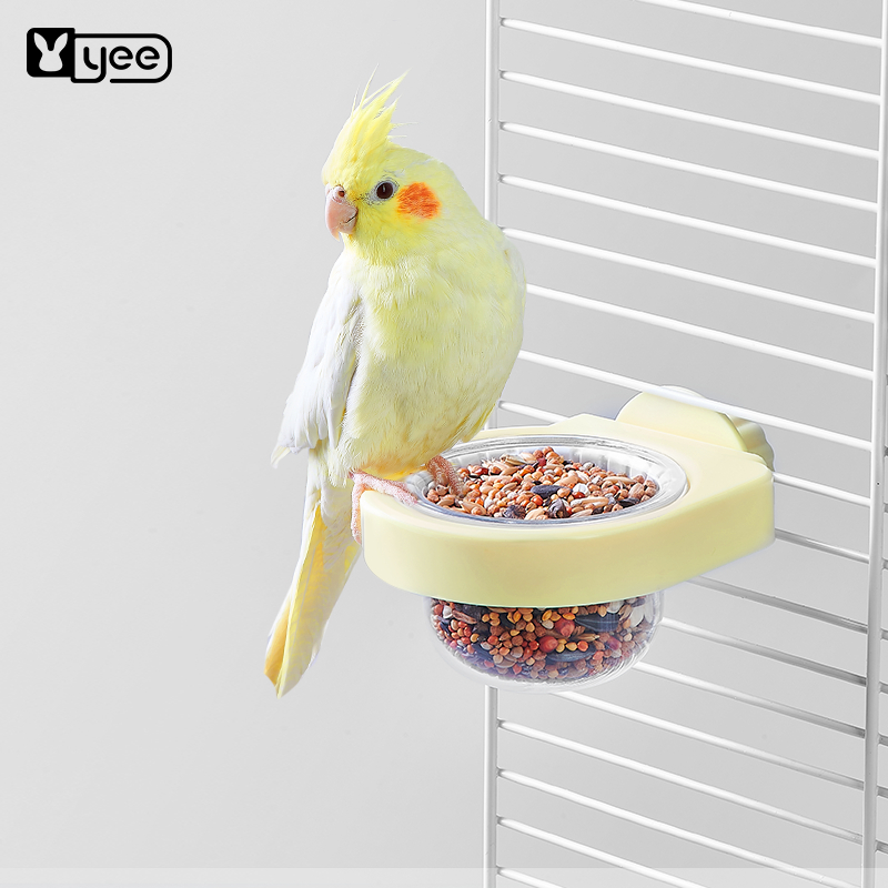 parakeet bird feeder cockatiel Bird food bowl