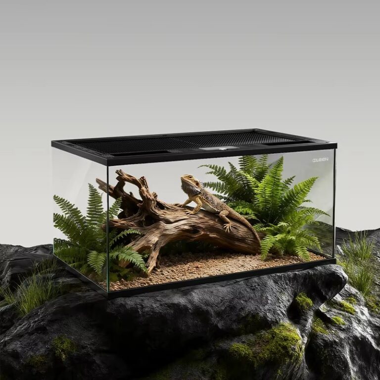 Reptile terrarium